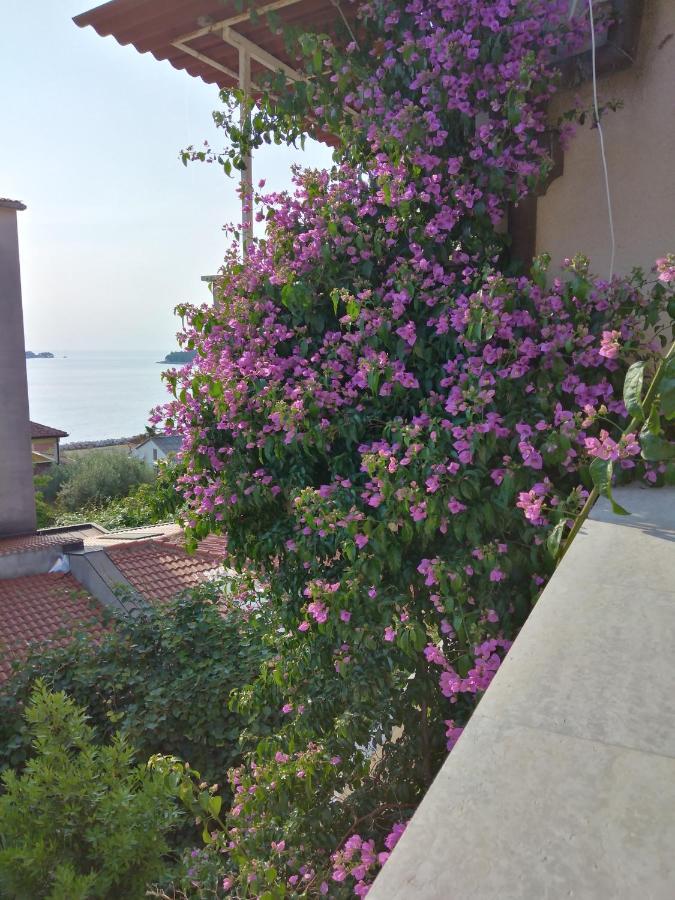 Luna Tsuki Seven Apart otel Rovinj Dış mekan fotoğraf